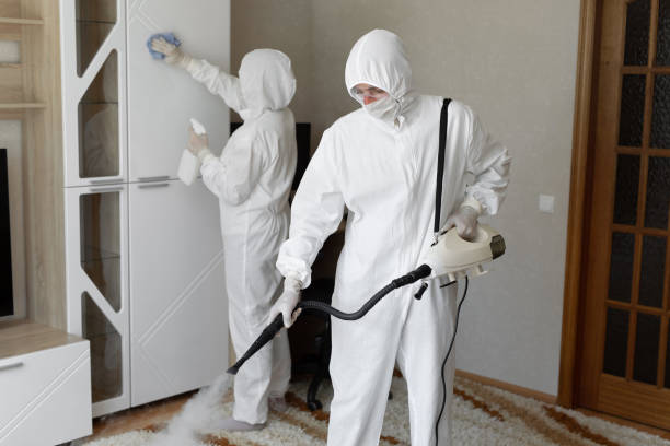 Trusted Crystal Lawns, IL Mold Removal Experts